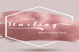 Starling Font: The Modern Calligraphy Typeface for Brand Storytelling