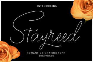 Stayreed: The Perfect Calligraphy Font for Your Brand